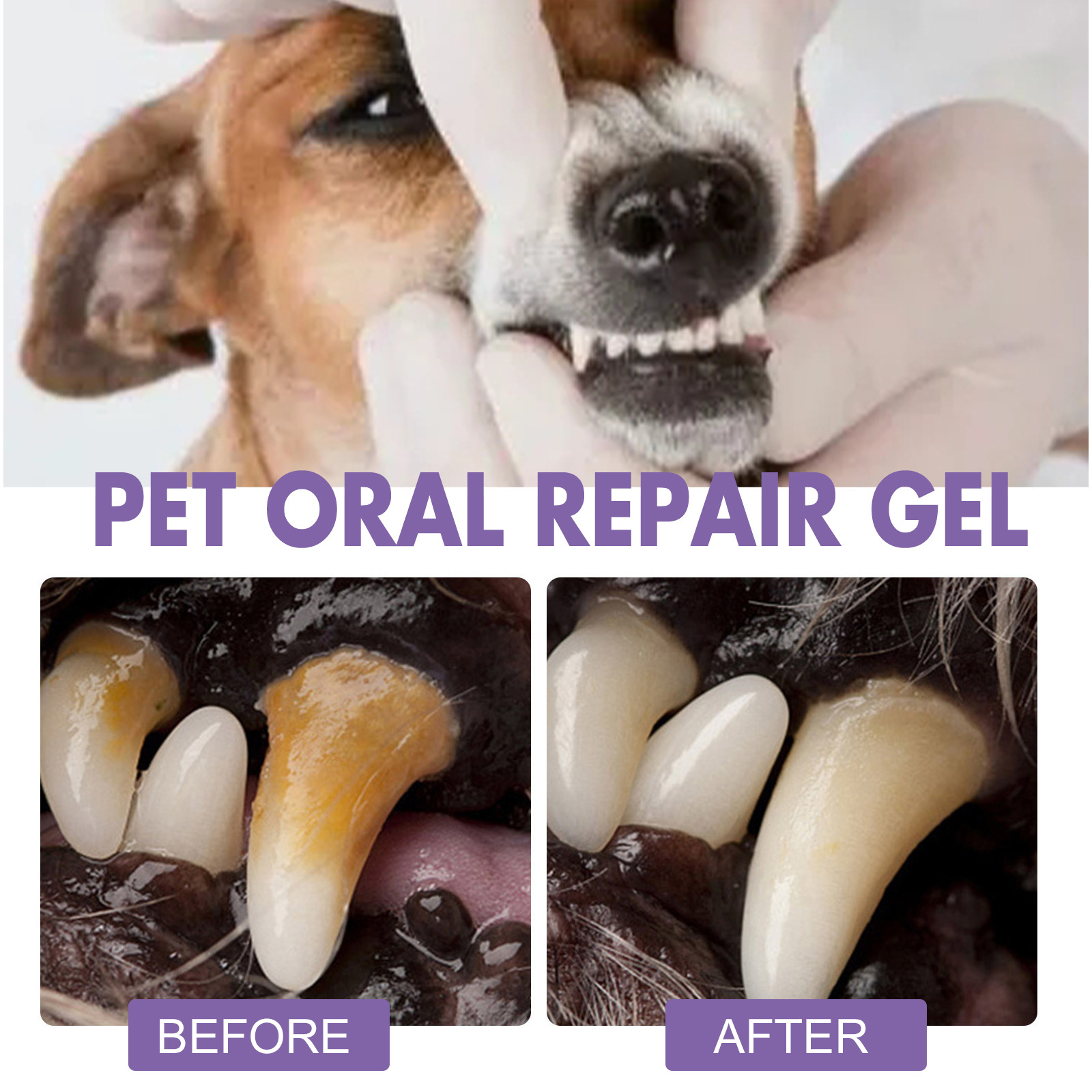 Pet Oral Repair Gel Puppy Tart - Teeth Whitening Diy 评论和价格