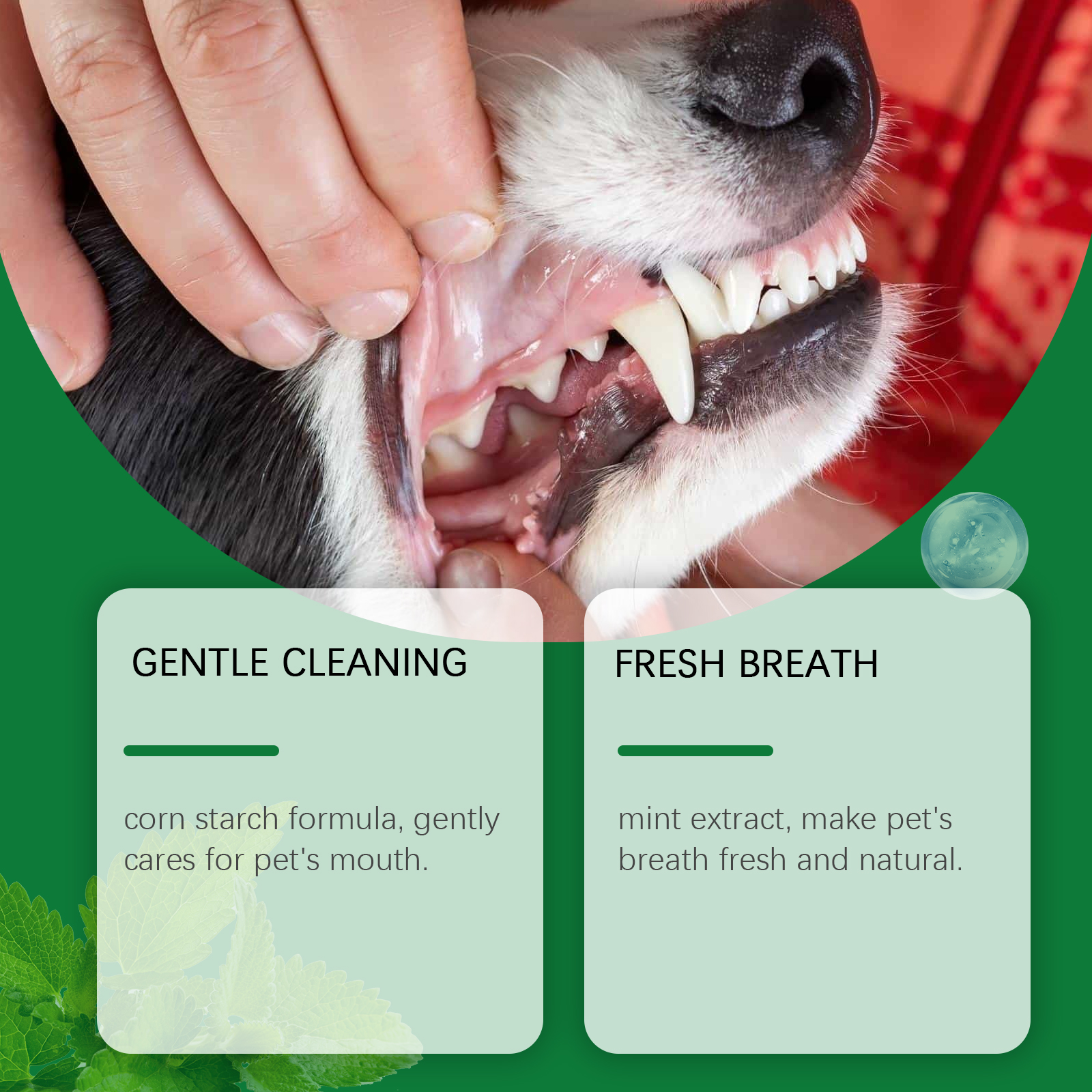 Pet Teeth Cleaning Powder Redu - Teeth Whitening Diy 评论和价格