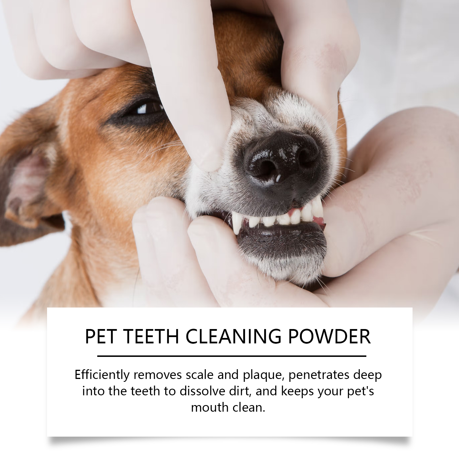 Pet Teeth Cleaning Powder Redu - Teeth Whitening Diy 评论和价格