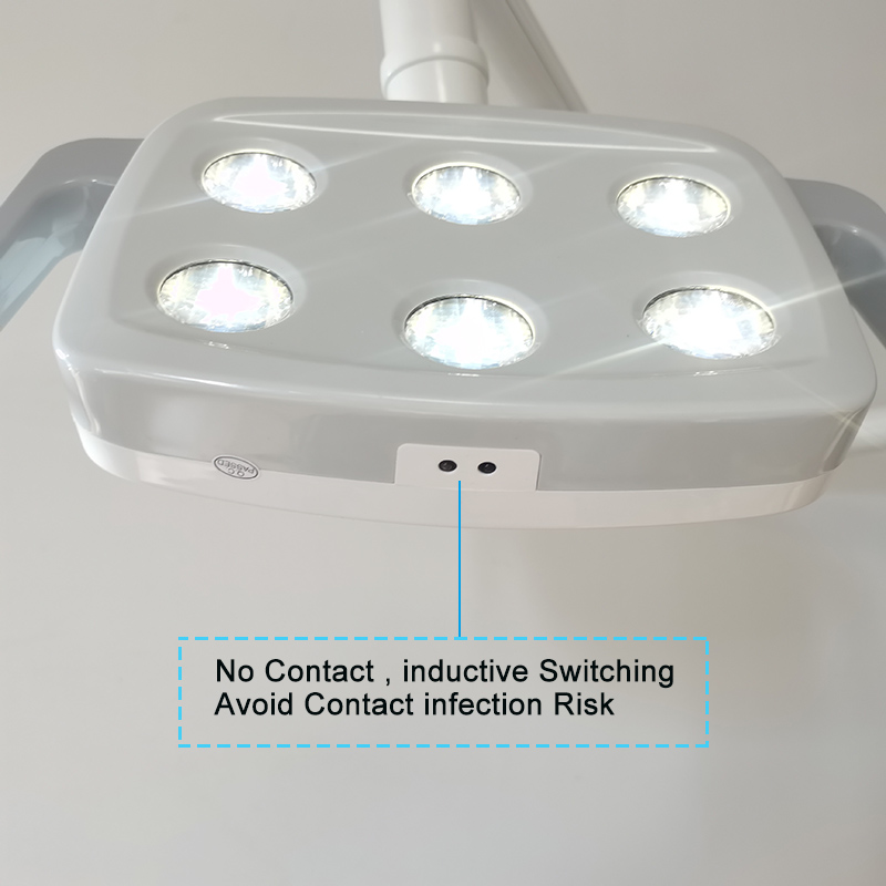 6LED Dental LED Lamp Oral Ligh - Teeth Whitening Kit With Light 评论和价格