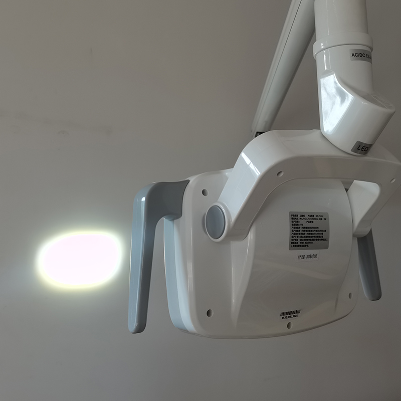 6LED Dental LED Lamp Oral Ligh - Teeth Whitening Kit With Light 评论和价格
